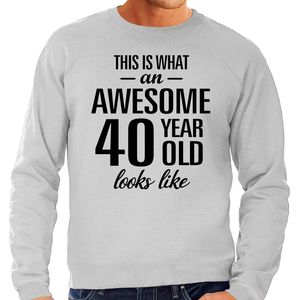 Awesome 40 year / 40 jaar cadeau sweater / trui grijs heren