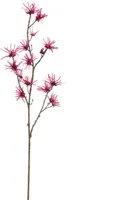 Pure Royal kunsttak hamamelis 98cm beauty