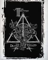 Poster Harry Potter Deathly Hallows Graphic 40x50cm