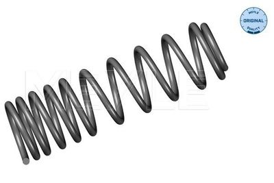 Chassisveer 1007390010