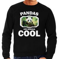 Sweater pandas are serious cool zwart heren - pandaberen/ panda trui - thumbnail