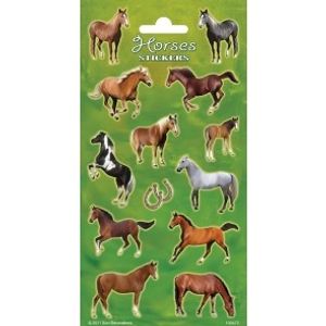 Stickervel Paarden Set Pony