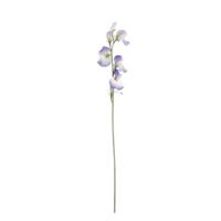 Lathyrus Kunsttak 64cm Blauw
