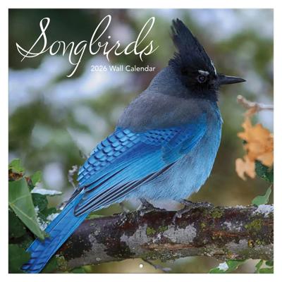 Songbirds Kalender 2026 Songbirds Kalender 2026