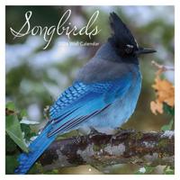 Songbirds Kalender 2026