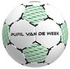 Rebel 90139 Pupil v/d Week Bal 2.0 Groen