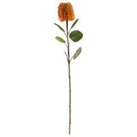 Kunstbloem Banksia - oranje - 57 cm - Leen Bakker - thumbnail