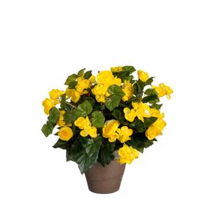 Mica Decorations Kunstplant - begonia - geel - in pot - 37 cm