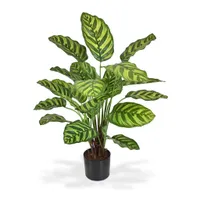 Calathea Makoyana 60 cm - Kunstplant - thumbnail