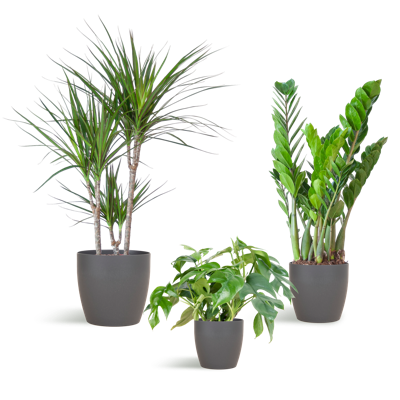 Schaduw Plantenbox - medium - met vibers pot grijs