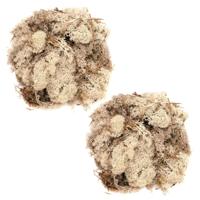 Decoratie nep mos 50 gram - 2x - naturel - Hobby/knutselen - herfst/kerst thema - opvullen