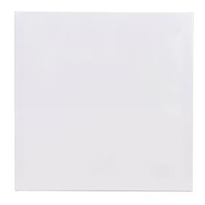 Benson Schildersdoek - 50 x 50 cm - blanco canvas - katoen - 280 grams