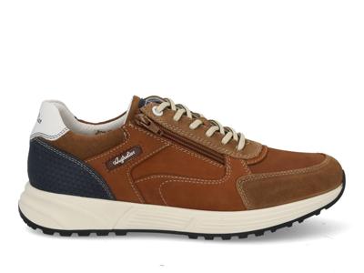 Australian Discover tan blue white Cognac maat 45