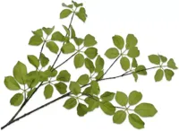 Silk-ka kunsttak blad 120cm groen
