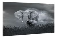 Karo-art Schilderij - Moeder en baby olifant, Zwart-Wit,  2 maten, Premium print
