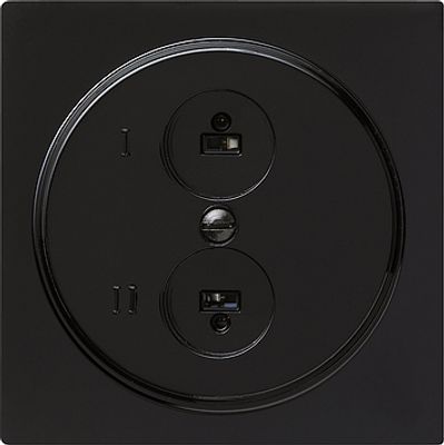GIRA INZPL STEREO WCD ZWART SC