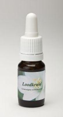 Loodkruid