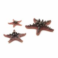 Zeester set 3 roze - Biorb