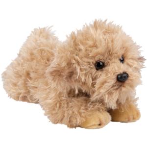 Pluche knuffeldier - Labradoodle hond - 30 cm - honden huisdieren knuffel