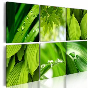 Schilderij - Groene Bladeren, Groen, 6luik , premium print op canvas