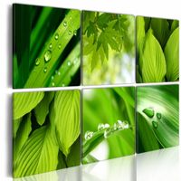 Schilderij - Groene Bladeren, Groen, 6luik , premium print op canvas - thumbnail