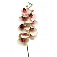 Phalaenopsis Orchidee Bora 77 cm roze kunstbloem - Nova nature