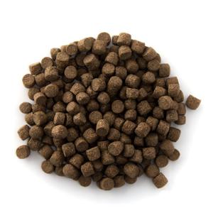 Coppens Top Koi 3mm 15KG Voer - Rijk aan Proteïnen, Probiotica, Spirulina & Astaxanthine