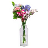 Glazen melkbus bloemen vaas/vazen smalle hals 15 x 35 cm - Vazen - thumbnail