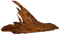 Superfish Driftwood X-Small - Oranje Aquascaping Hout & Schuilplaats voor Aquarium.ToShort(149)