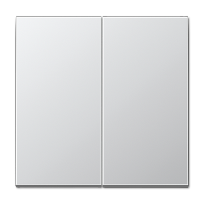 Jung LS990 Aluminium knop AL2995 voor dubbele schakelaar