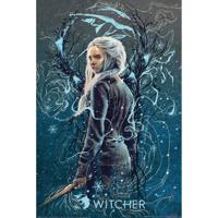 Poster The Witcher Ciri the Swallow 61x91,5cm