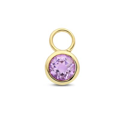 14K Geelgouden Oorringhanger Juni Geboortesteen 8,5x6mm - Per Stuk