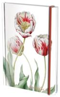 Notitieboek A5: Tulipa 'Teyler', Anita Walsmit Sachs