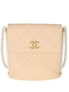 CHANEL Pre-Owned sac à bandoulière matelassé 2019 - Tons neutres