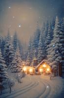 Canvas huis in sneeuw led 58x38 cm - Annas collection