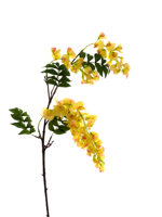Sweet pea spray Mick yellow 92 cm kunstbloem - Nova nature