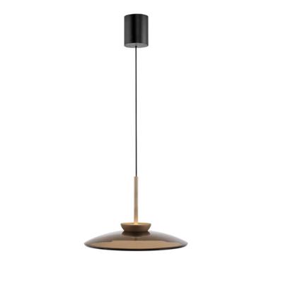 Paul Neuhaus 1-lichts hanglampPure E-Moon brons - 2195-97
