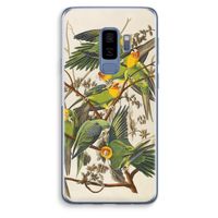 Carolinaparkiet: Samsung Galaxy S9 Plus Transparant Hoesje Carolinaparkiet: Samsung Galaxy S9 Plus Transparant Hoesje