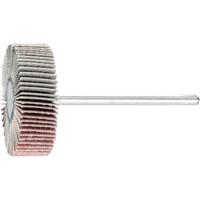 PFERD TOOLS 44402243 Lamellenschijf Diameter 30 mm 10 stuk(s)