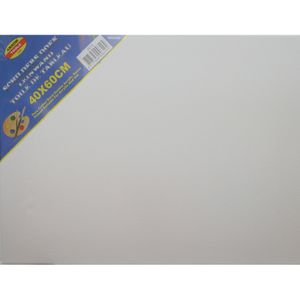 2x Canvas schilders doek 40 x 60 cm zware kwaliteit