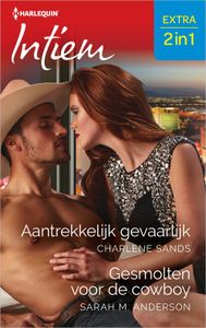 Aantrekkelijk gevaarlijk / Gesmolten voor de cowboy - Charlene Sands, Sarah M. Anderson - ebook