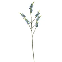 Salvia nutanssteel l100cm blauw