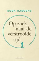 Op zoek naar de verstrooide tijd - Koen Haegens - ebook