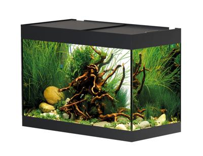 Oase StyleLine 125 aquarium zwart Oase StyleLine 125 aquarium zwart