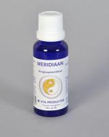 Vita Meridiaan kringloopmeridiaan