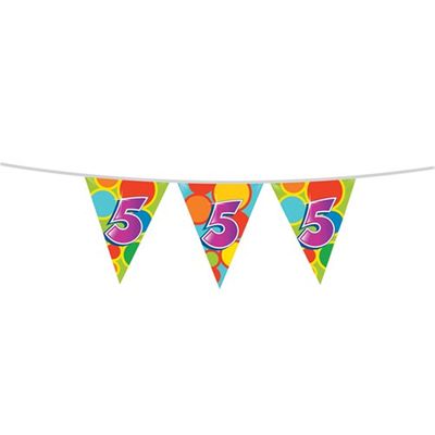Leeftijd verjaardag thema vlaggetjes 5 jaar plastic 10 meter