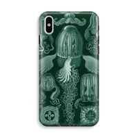 Haeckel Cubomedusae: iPhone X Tough Case