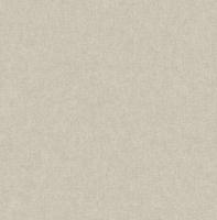 Dutch Wallcoverings Sauvage Uni - Beige