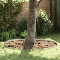Tuin Grasperkafwerking Zilver 450 x 10 cm Roestvrij staal