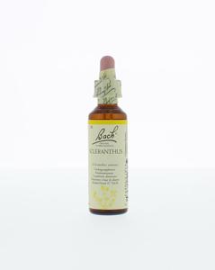 Bach Scleranthus/hardbloem
